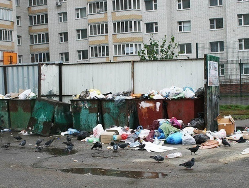 Кто может не платить за вывоз мусора рассказали в Министерстве ЖКХ Ставрополья 