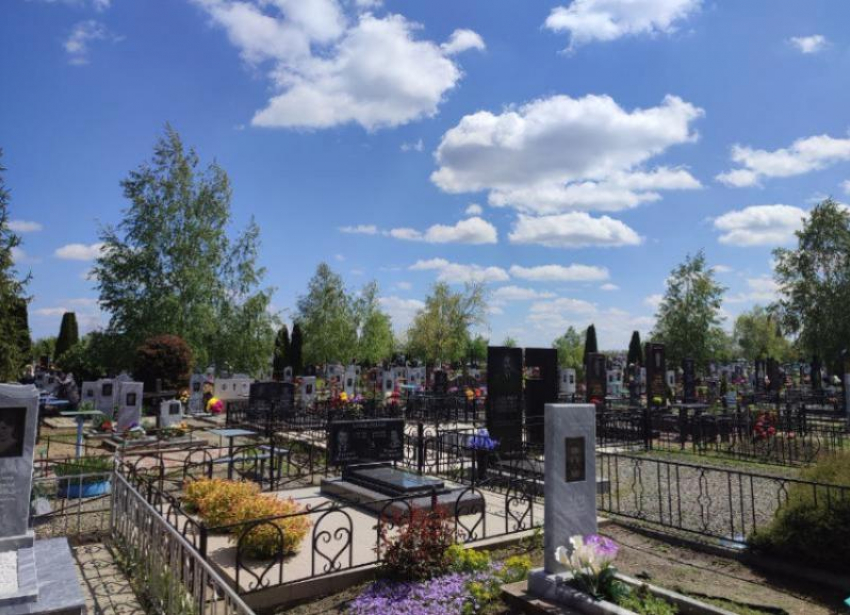 Пути к Крестовоздвиженскому кладбищу в Михайловске благоустроят за 4,73 миллиона рублей