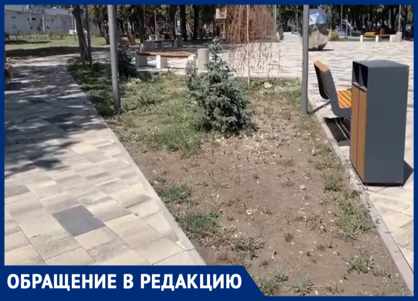 Благоустроенный год назад за 273 миллиона сквер в Ессентуках увял на глазах
