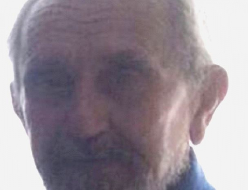 Любивший гулять в лесу 86-летний мужчина с бородой пропал в Ставрополе