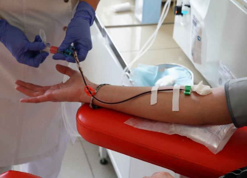 В СКФО начали заготавливать плазму крови людей, переболевших коронавирусом