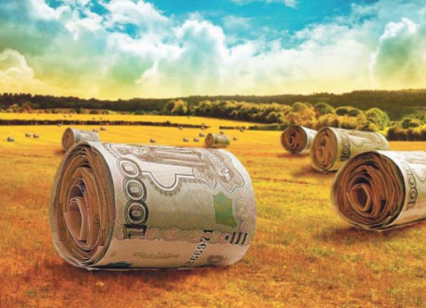 Ставрополье экспортирует сельхозпродукцию на 180 миллионов долларов