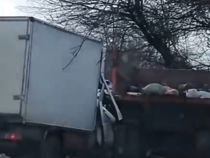 Пытавшийся выбраться из «Газели» после жесткого ДТП с мусоровозом человек попал на видео под Ставрополем 