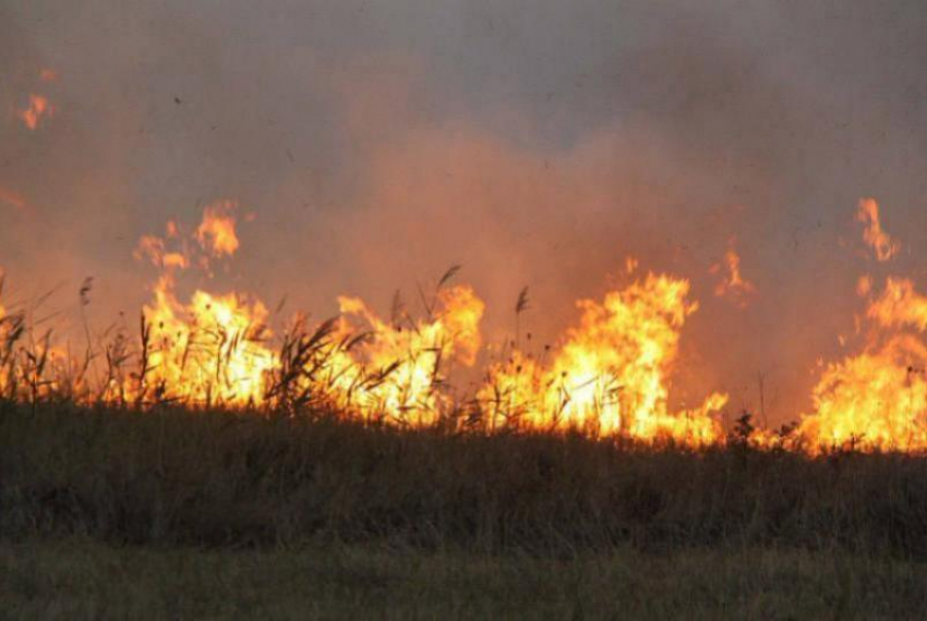 Чрезвычайную пожароопасность пообещали ставропольцам на 4 и 5 августа 