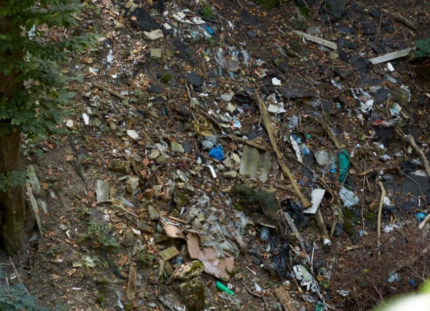 Горы мусора и трупы животных обнаружили на сельхозземлях на Ставрополье