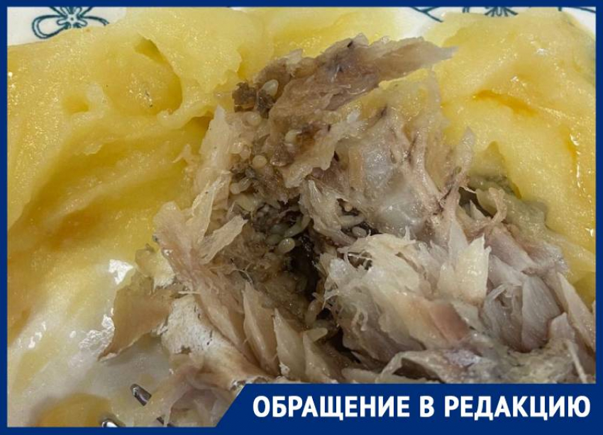 Рыба с личинками в обедах школьников возмутила родителей Ставрополья