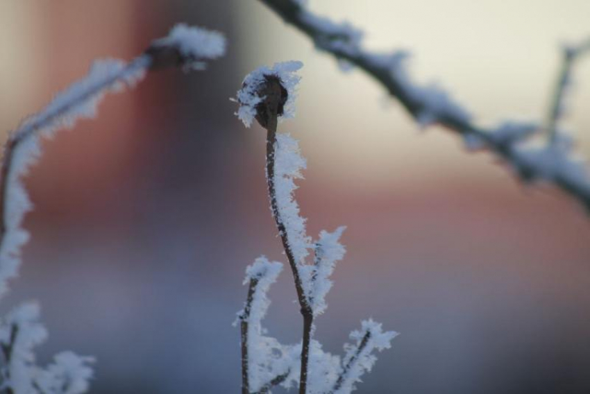 Заморозки до -1 градуса придут на Ставрополье 3 ноября