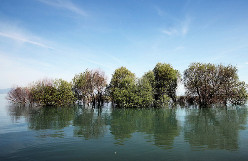На Ставрополье мужчина утонул в пруду с мусором
