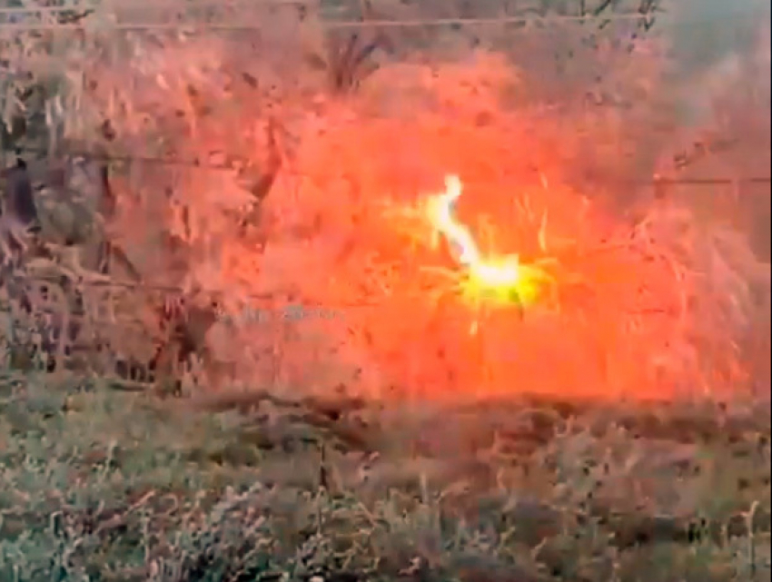 Провода ЛЭП массово воспламеняют замершие деревья в Ставрополе