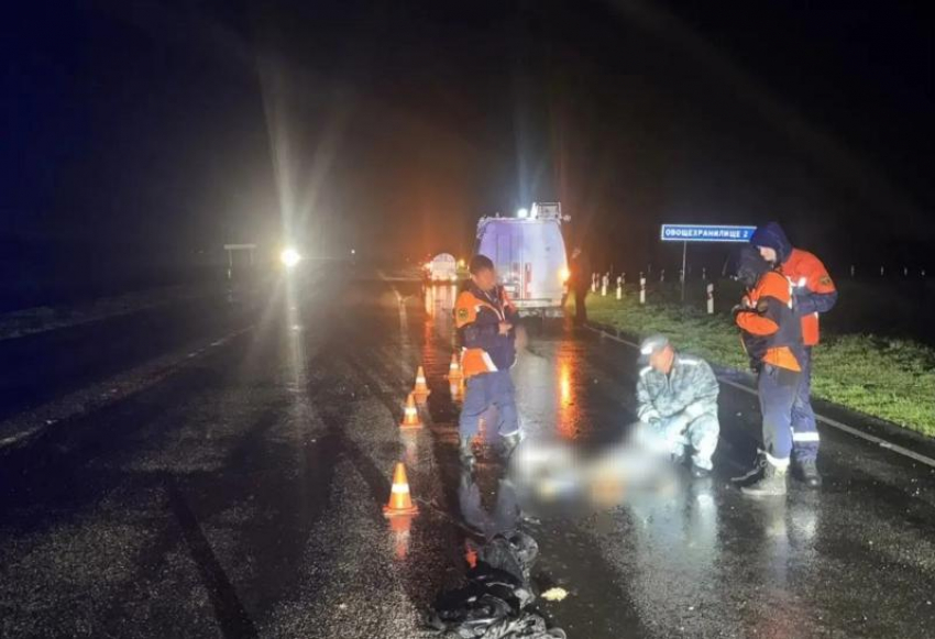 Большегруз насмерть сбил пешехода на Ставрополье