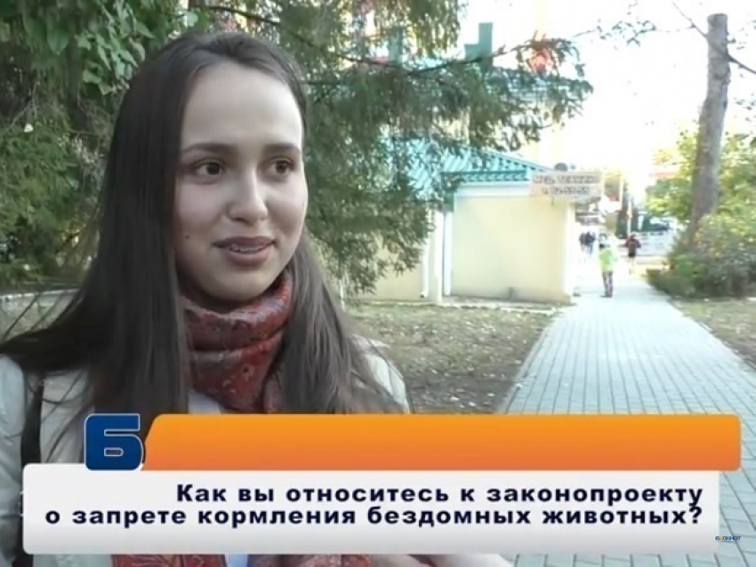 "Если закон примут, мы его будем нарушать": ставропольцы о штрафах за кормление бездомных животных