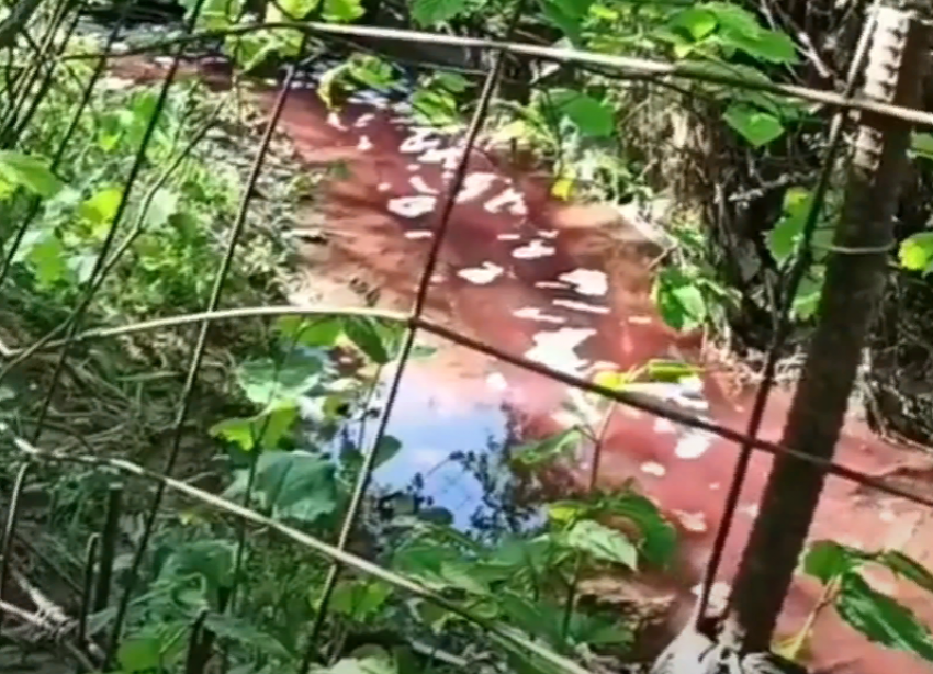 «Кровавая» река в районе кожзавода возмутила жителей Ставрополя