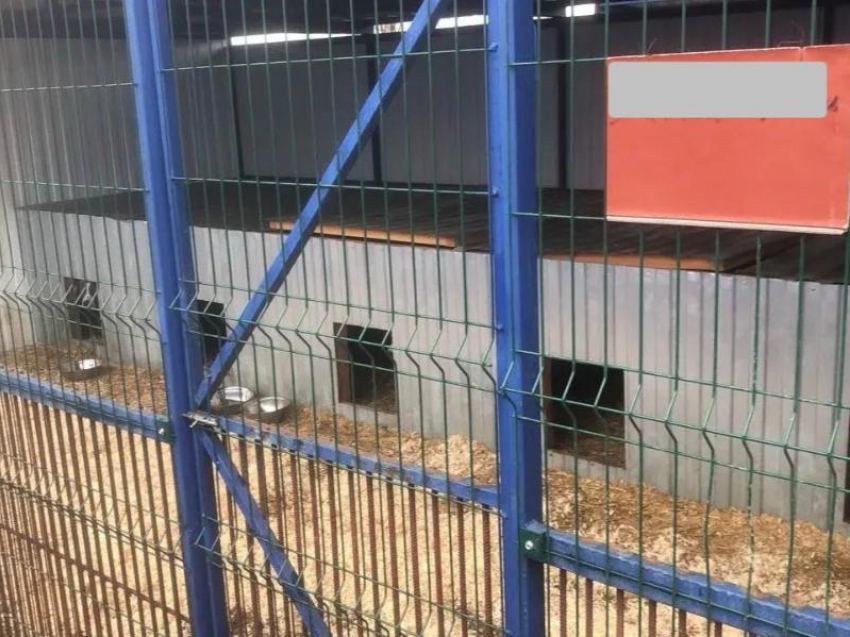 Штраф выписали главе пункта временного содержания животных на Ставрополье 