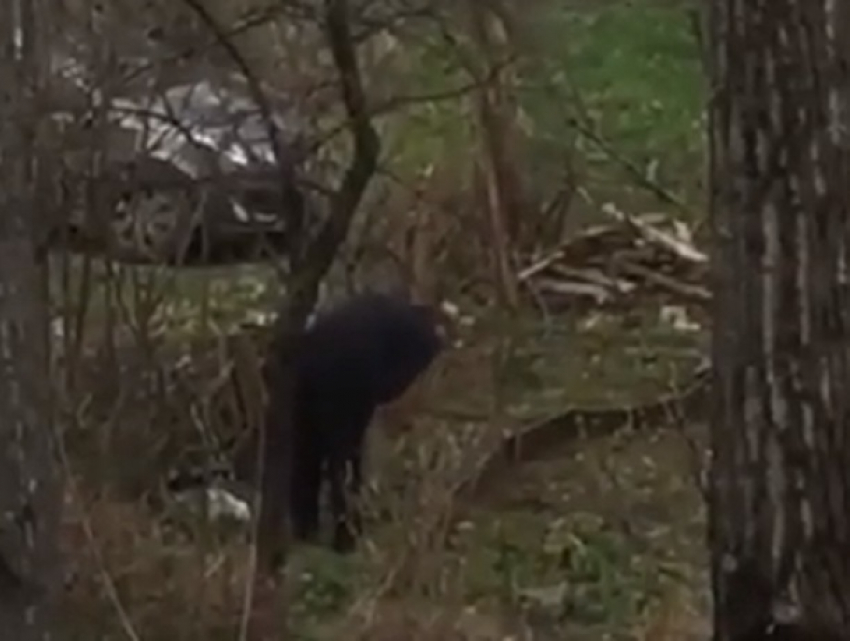 Мужчины искали закладку возле детской поликлиники в Пятигорске 