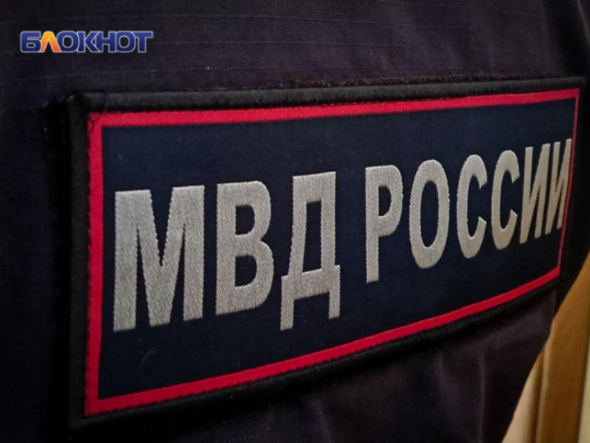 Два пассажира подрались в маршрутке Михайловска: полиция ищет свидетелей 