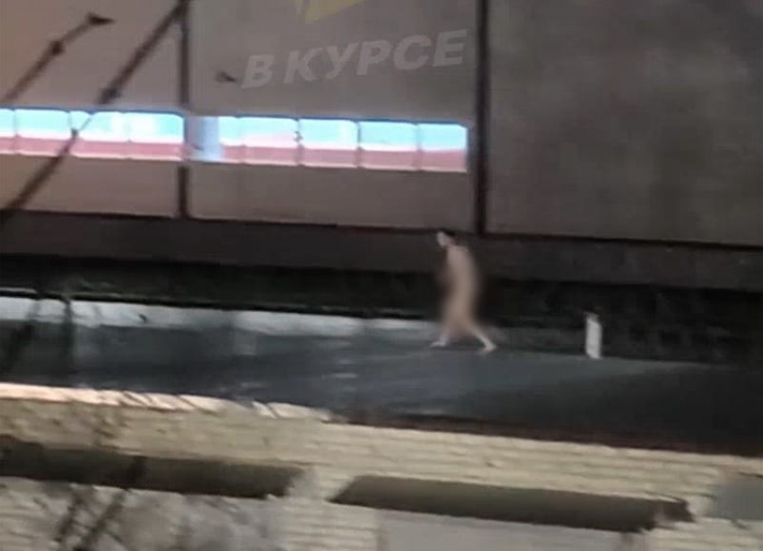 Голый Тарзан прогуливался по крышам гаражей и раскачивался на ели в Ставрополе