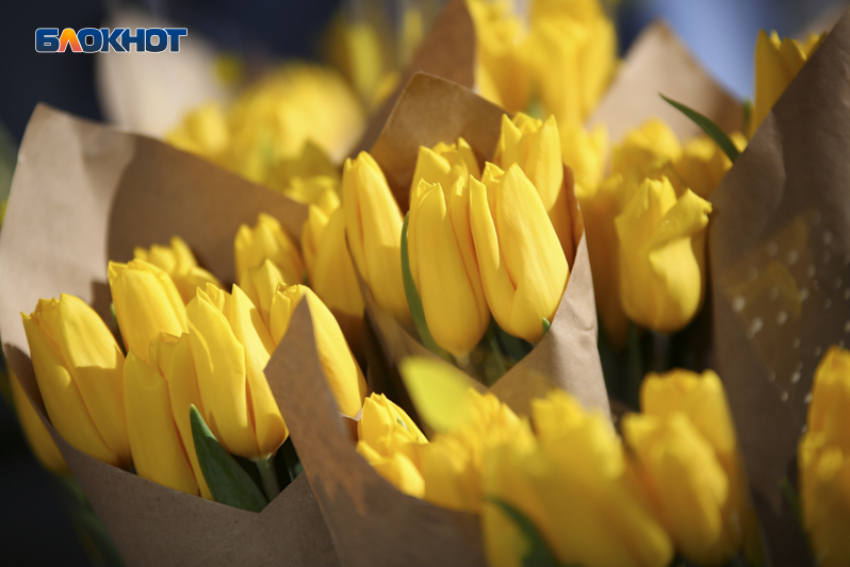 Букеты цветов из роз и хризантем для губернатора хочет закупить правительство Ставрополья за 1,2 миллиона рублей 