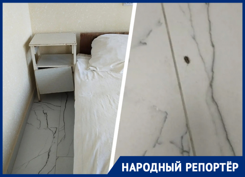«Здание новое, тараканы старые»? Антисанитария в недавно отремонтированной больнице возмутила ставропольчан