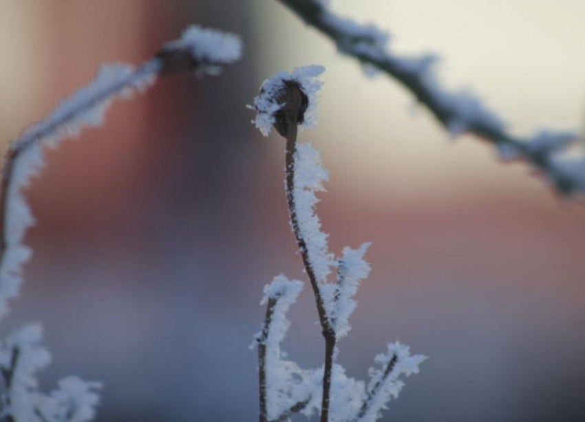 Сильный снег на Новый год: опубликовали подробный прогноз погоды для Ставропольского края на 31 декабря