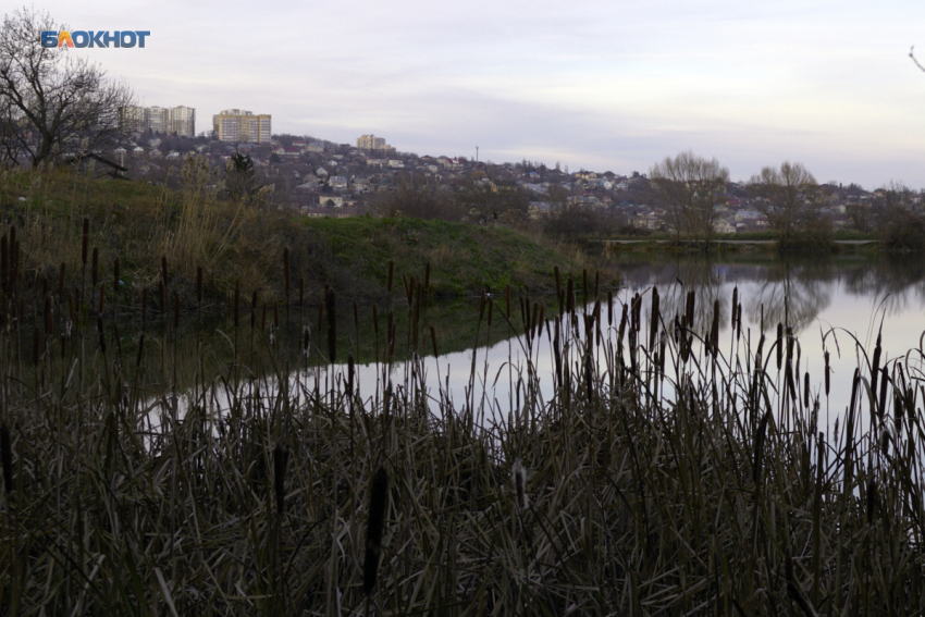 На рыбалку без штрафа. Ставропольцам напомнили о правилах поездок в Калмыкию и Астраханскую область