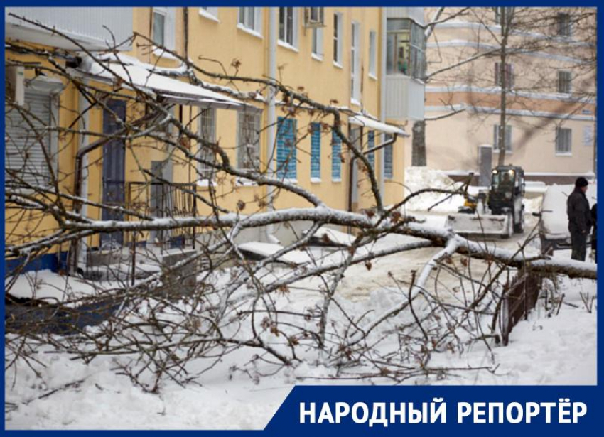 Жители Ставрополя жалуются на неполучение компенсации из-за последствий урагана