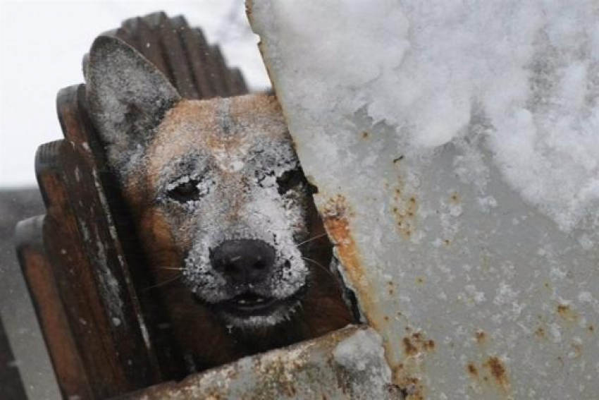 Сильные морозы ожидаются на Ставрополье в последние дни января