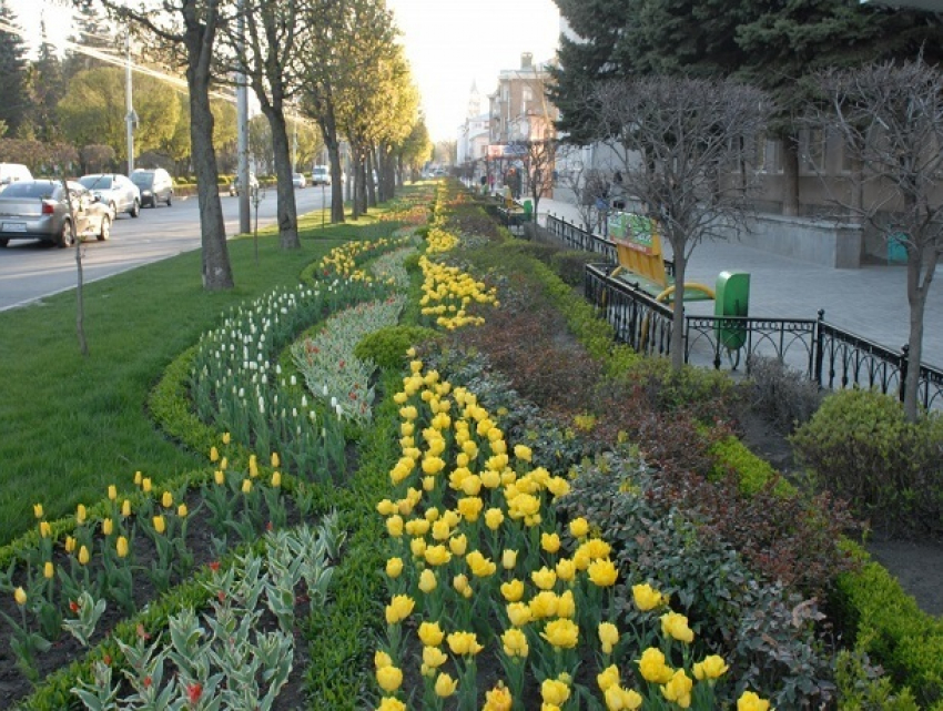 Летнюю погоду и слабый ветер обещают синоптики в четверг ставропольчанам 