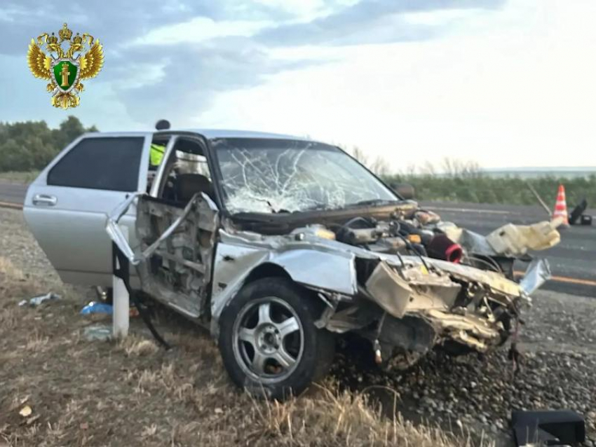 Два человека погибли в ночном ДТП на трассе в Кочубеевском округе после наезда на тросовое ограждение