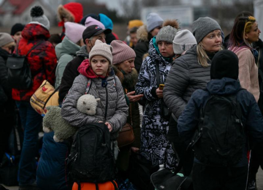Беженцы из Украины смогут проголосовать в референдумах на Ставрополье