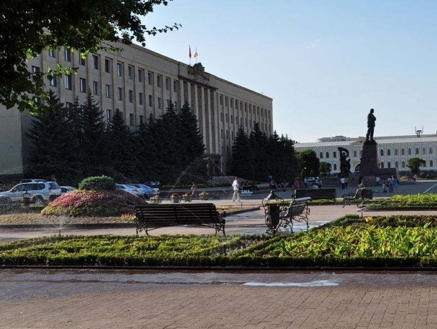 Многолетние ели на площади Ленина в Ставрополе хотят заменить 