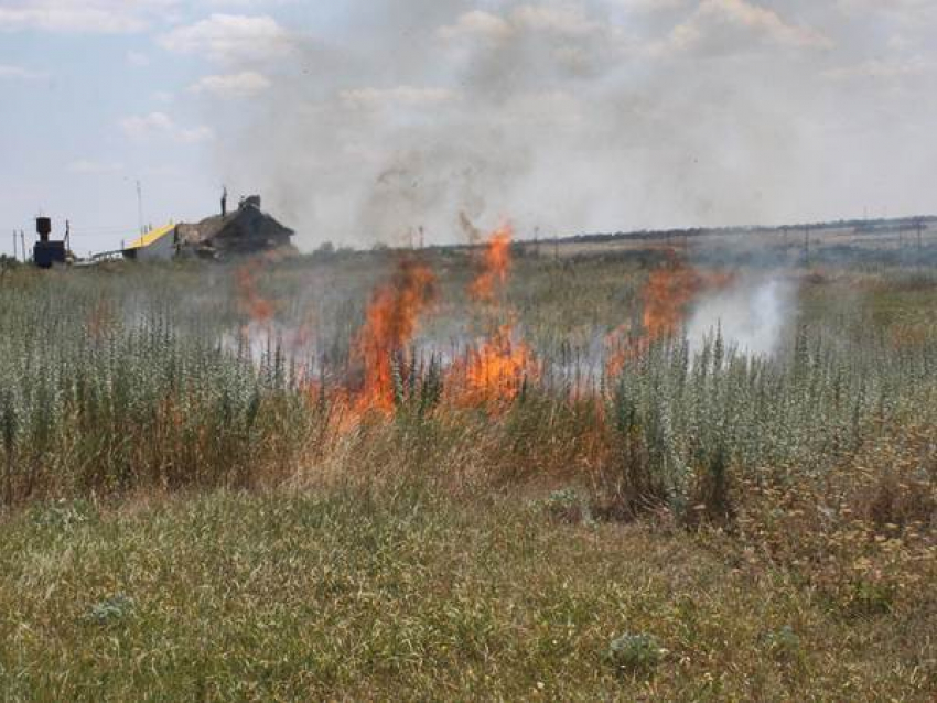 Более 30 ландшафтных пожаров произошло на Ставрополье за прошедшие выходные
