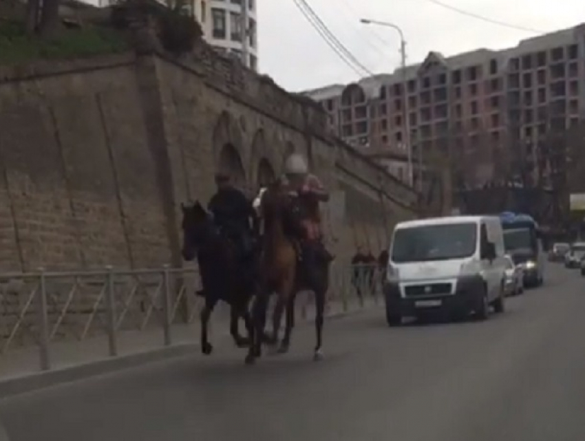 Всадник без головы промчался на коне по улицам Кисловодска