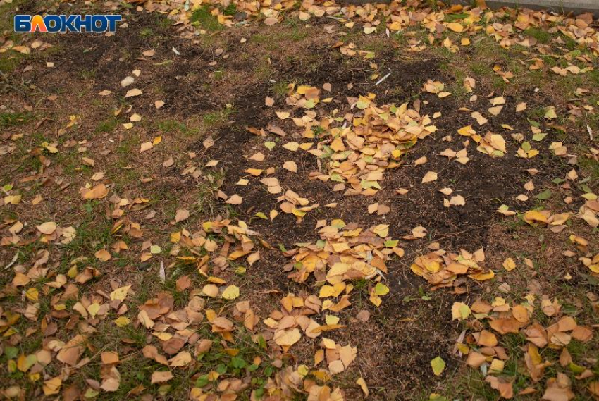 На Ставрополье в очередной раз продлили ограничение на пребывание в лесах