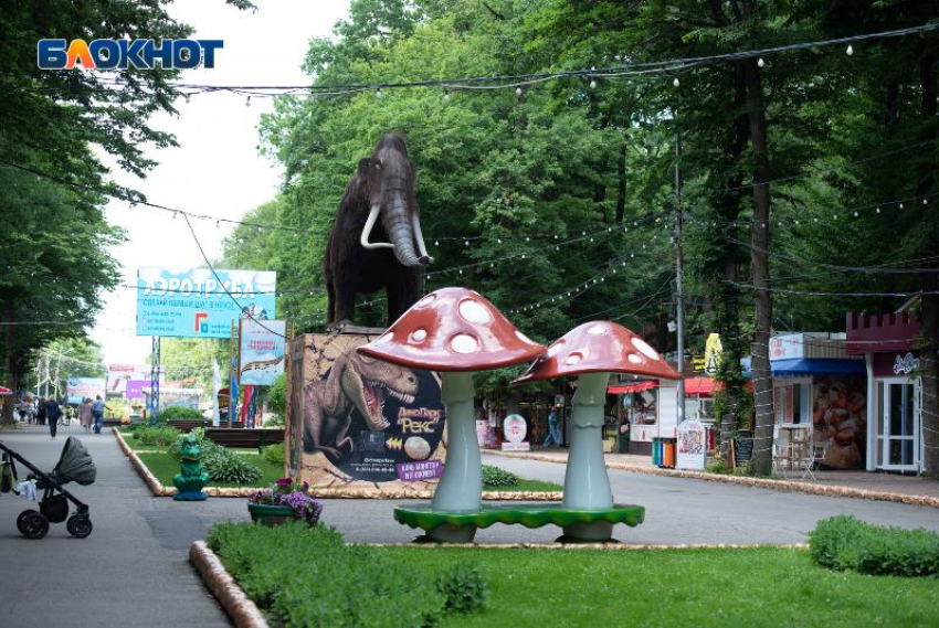 В парке Победы Ставрополя завелся 16-летний лжесотрудник телефонной компании, выманивающий коды из СМС