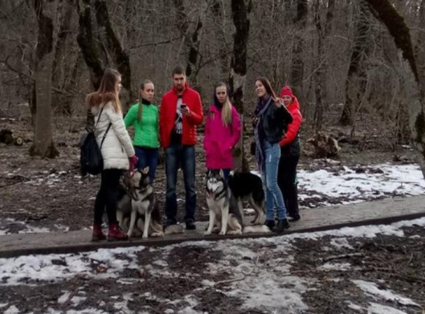 Жестоким избиением отца на глазах ребенка закончилась прогулка с собакой в Пятигорске