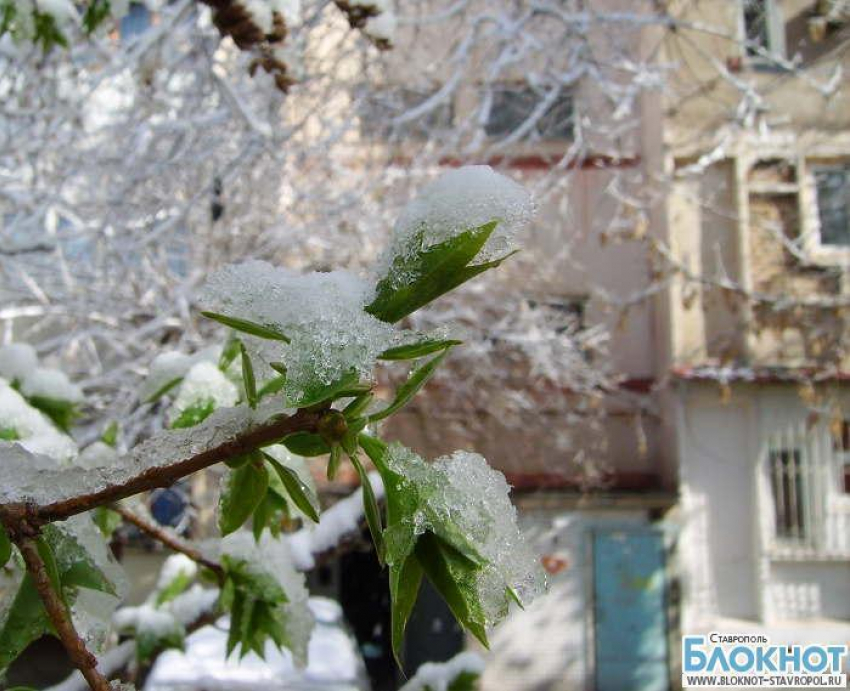 На Ставрополье ожидается резкое похолодание в выходные дни