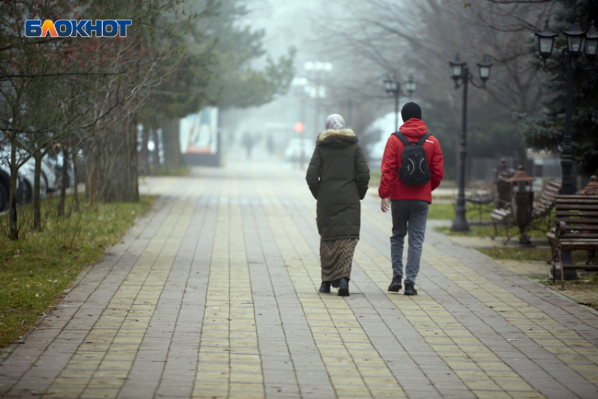 Заработок свыше 100 тысяч рублей: самые оплачиваемые отрасли 2025 года назвали на Ставрополье