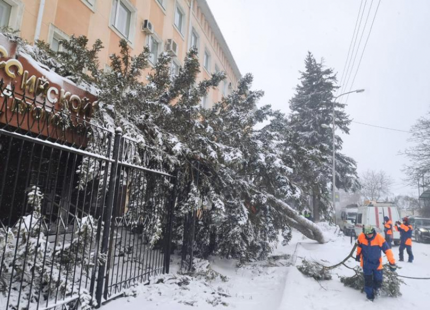 Снес крыши, повалил деревья и раздавил авто: что натворил ураган за ночь в Ставрополе