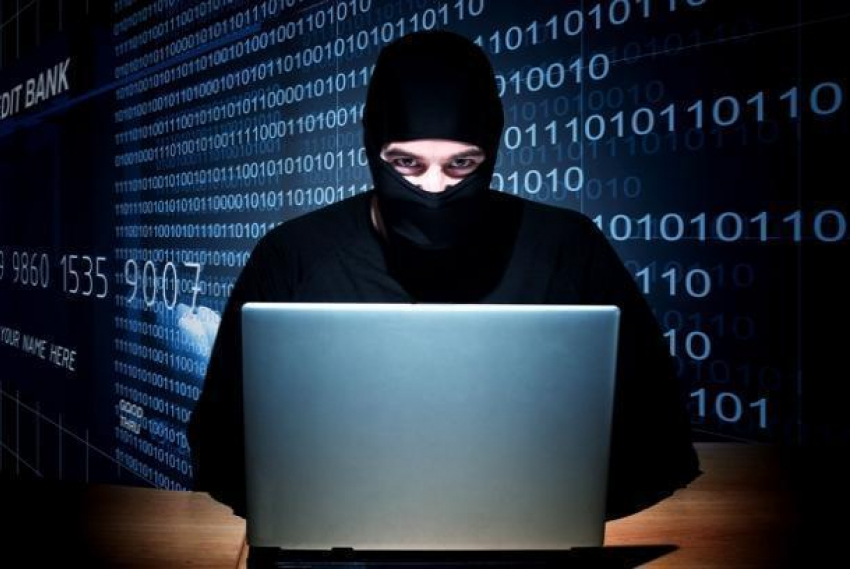 Взломавший код системы бизнесмен-хакер обвел вокруг пальца налоговую службу в Ставрополе