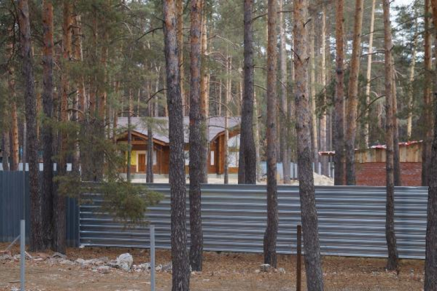 Администрация Ставрополя незаконно сдавала в аренду земли городского леса