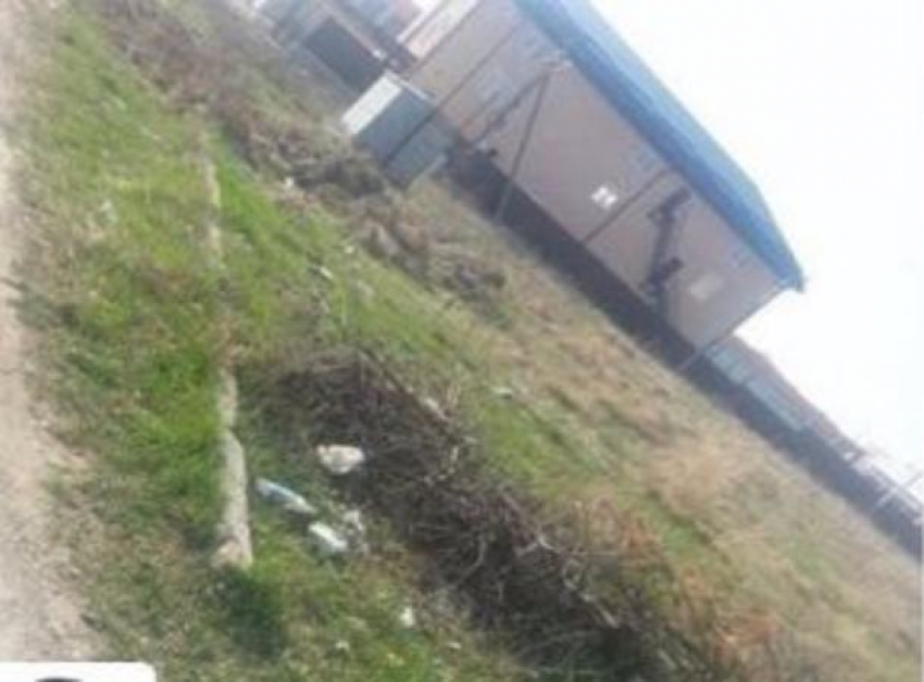 Крысы атаковали частные дворы и дома из-за магазинного мусора в поселке близ Пятигорска