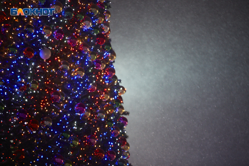 На новогодние елки для детей мобилизованных на Ставрополье выделят 6 миллионов рублей