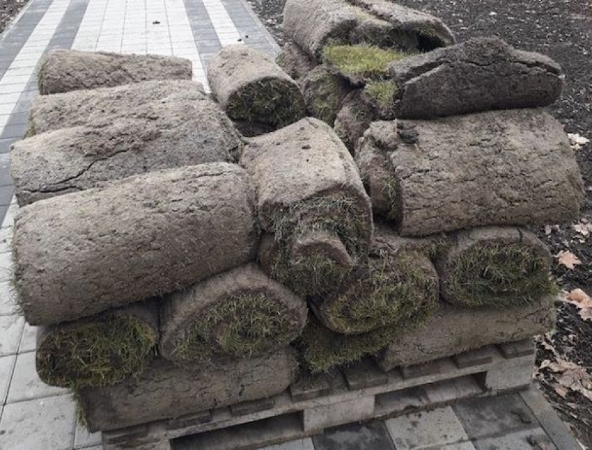 В ессентукском парке спешно в декабре кладут футбольный газон вместо клумб