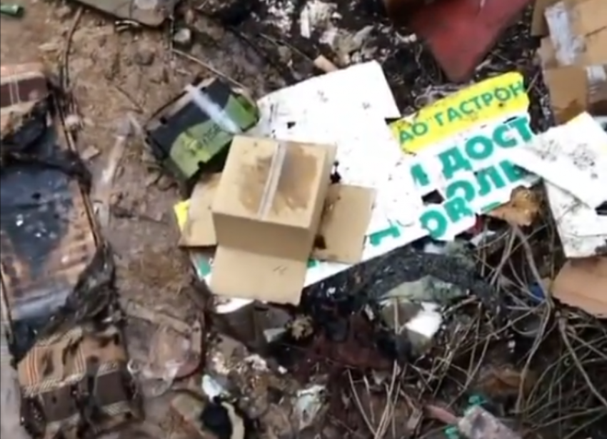 «Сколько можно?»: жители Кисловодска жалуются на загрязнение реки Березовой