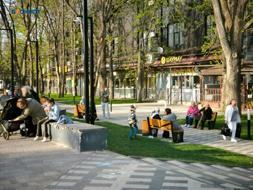 Обрезка деревьев оставит несколько улиц Ставрополя временно без света 7 августа