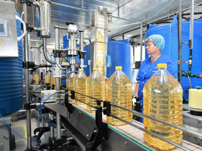 Завод по производству растительного масла за 350 миллионов построят на Ставрополье
