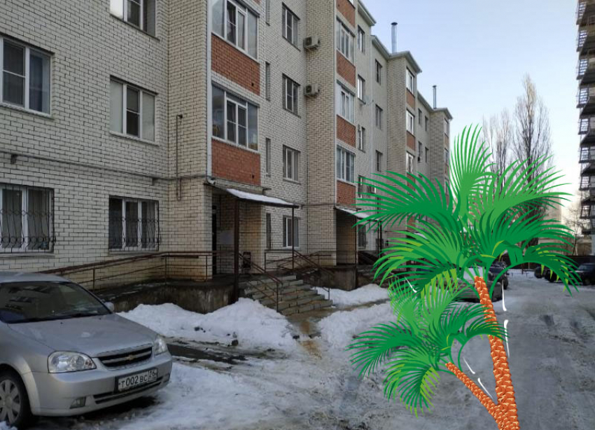 «...почистит настолько, что пальмы вырастут»: жители дома в Ставрополе не смогут нырнуть в сугроб