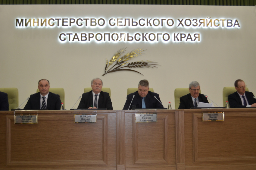 В краевой столице выбрали нового председателя Совета Ставропольской АККОР