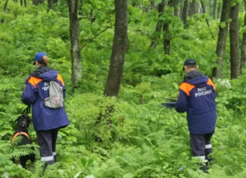 Пропавших подростков из Пятигорска нашли в Рязанской области 