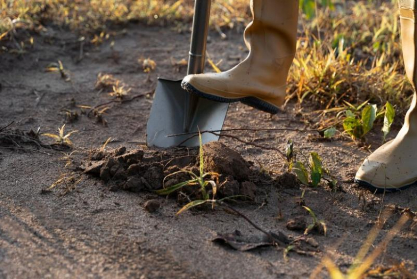 Инспекторы Росприроднадзора обнаружили снятие плодородного слоя почвы на Ставрополье